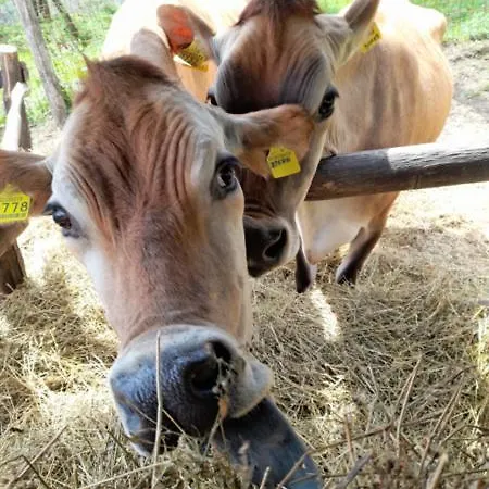 Agriturismo Ninfe Di Bosco Farm stay Saturnana